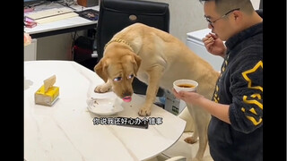 ในช่วงครีษมายัน ทุกคนจะกินอาหารแบบเดียวกัน