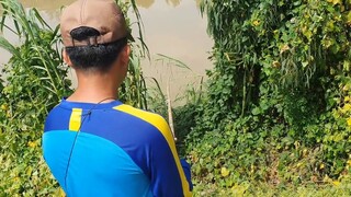 Đi Nhấp Ếch Cùng Bác 2 Dính Toàn Ếch Nhỏ Và Buổi Cơm Chiều Của Hai Bác Cháu