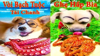 Thú Cưng TV | Bông ham ăn Bí Ngô Cute #58 | Chó thông minh vui nhộn | Pets cute smart dog