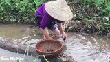 Mẹ bắt ốc trưa hè về ốc luộc chấm mắm trông thật hấp dẫn ( Boiled Vietnamese Snails ) I Cơm Mẹ Nấu