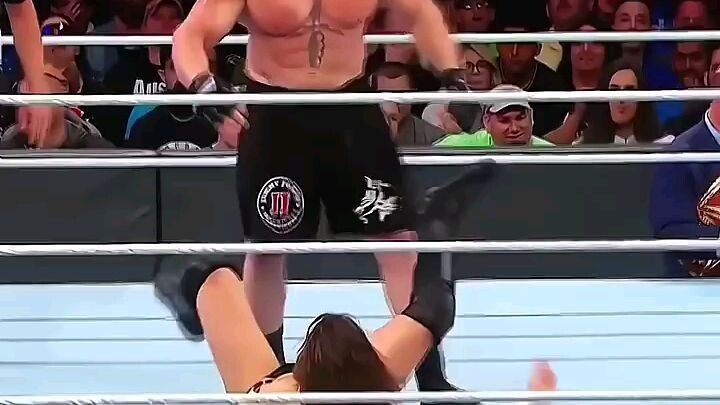 Brock Lesnar vs. Daniel Bryan