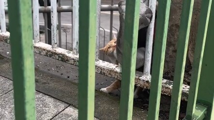 ไม่คิดเลยว่ากลางวันแสกๆ ยังมีโจรปล้น แถมฉันยังเป็นคนโดนปล้นอีก!