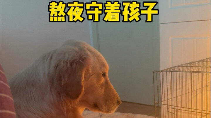 A bit maternal, but not much.