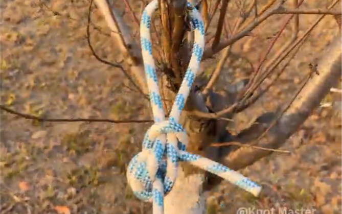 Vua của các kỹ thuật dây thừng