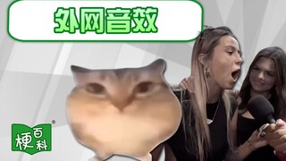 [Ensiklopedia Meme] Dari mana Bababoi berasal? Elang Tuah? Efek suara populer di internet!