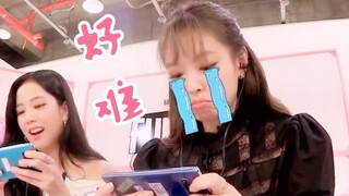 笑疯了！BLACKPINK吃鸡玩成跑毒游戏！金智秀翻车！