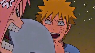 “暴躁的小樱”