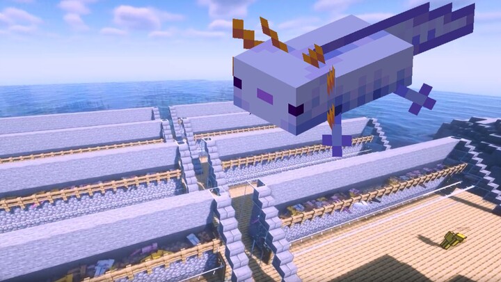 Is the blue axolotl rare? Come see my breeding facility...