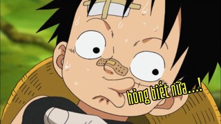 Hong, hông biết nữa. Luffy có biết gì đâu.