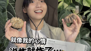 炸弹果实！心情就像响盒子…说炸就炸了！