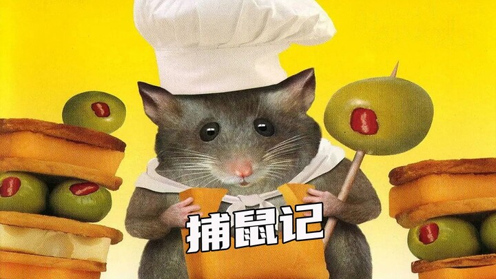 High-IQ Little Mouse Runs Circles Around Two Brothers—and Ends Up Tearing Down an Entire Villa!