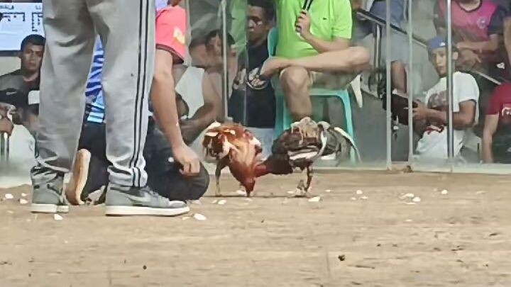 Parehas natanggal tari Muntik pa matabla