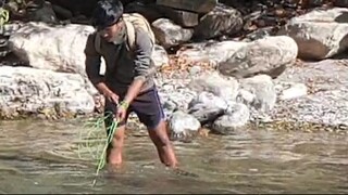 cast net fishing | cast netting | fishing himalayan trout in Nepal |