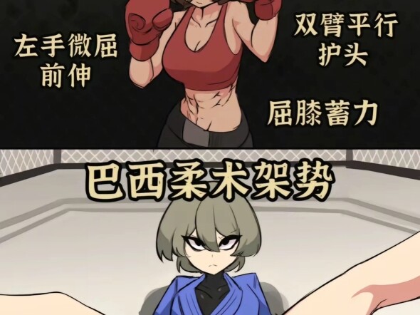 如果你笑了就要学巴西柔术