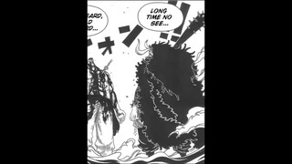 IF SHANKS DIDN"T STOP KAIDO.