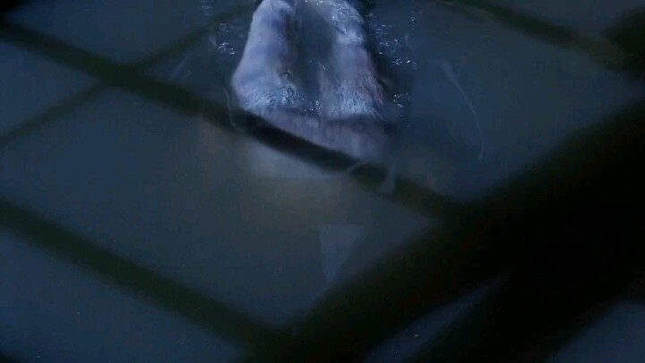 Worker Stumbles Upon Someone Swimming in the Sewage Treatment Pool