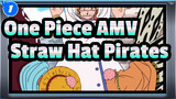 [One Piece AMV] Hilarious Daily Life of Straw Hat Pirates /Arabasta Saga (6)_1