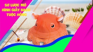 Trọng Nguyên | Sơ lược mô hình giấy bạch tuộc hồng