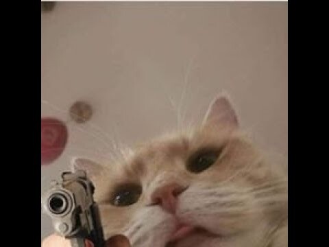 PUBG Mobile FUNNY #3