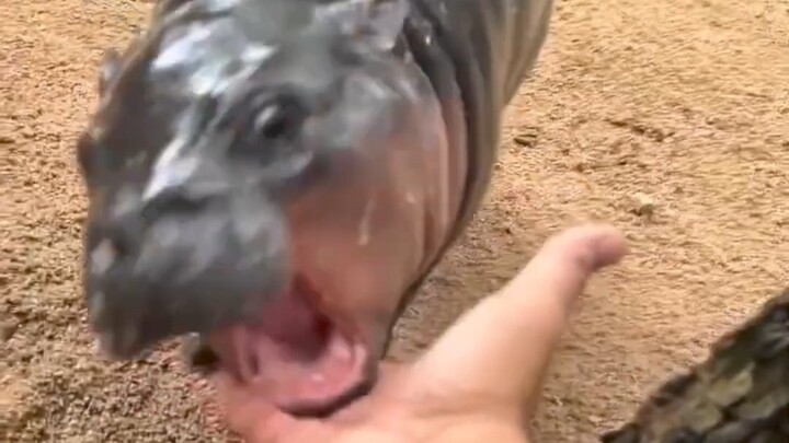 ฉันน่ะมีความยืดหยุ่นนะ!! ไม่ยอมให้เธอมาบงการได้หรอก
