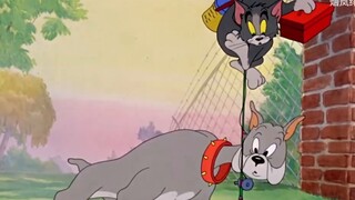 Anjing di Star Dome Railway terlihat persis seperti Tom and Jerry