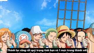 Zoro Có Haki Bá Vương_ - Tiềm Năng Sức Mạnh Của Zoro _ Giả Thuyết One Piece 5