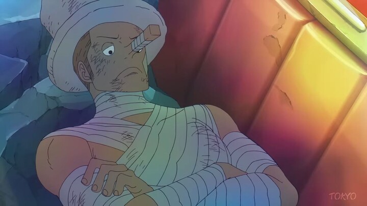 One Piece The Battle