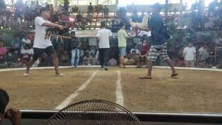 Loss hackfight Calamba Cockpit