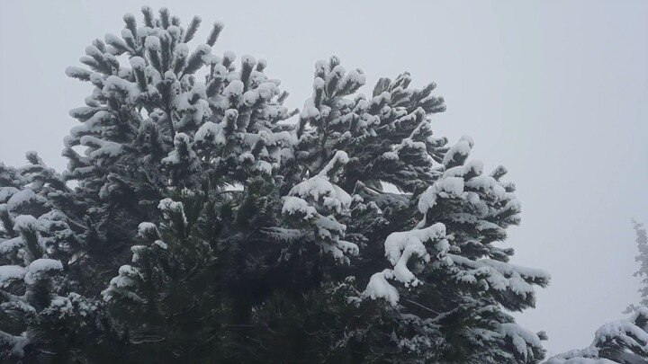 TURKEY. WINTER 2023. #FEBRUARY #SNOW IN TURKEY. #Yalova #Subashi