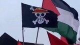 Lá cờ này xuất hiện tại các cuộc biểu tình của người Palestine