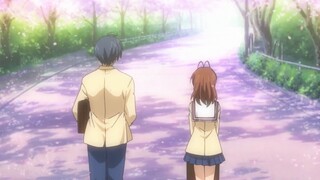 [ CLannaD /AMV] Setelah lulus, aku memikirkan jalan bunga sakura lagi~