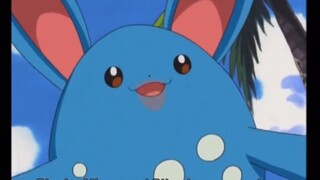 pokemon THỎ Azumarill đáng yêu