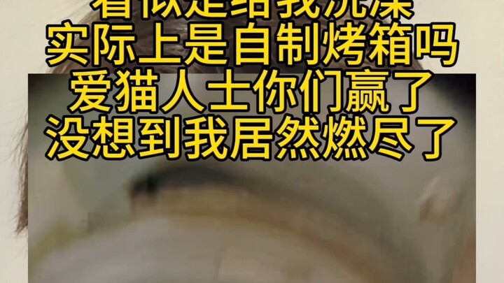 Pencinta kucing itu terlalu jahat