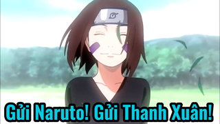 Gửi Naruto! Gửi Thanh Xuân!