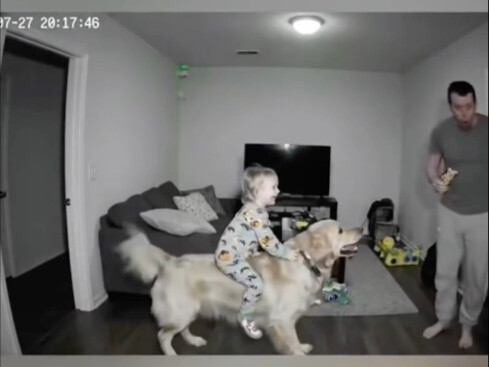 Clip hài hước: Bọn trẻ nghịch ngợm và động vật