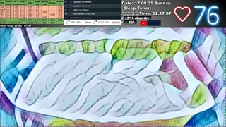 Sleep Stream 17.08.2025