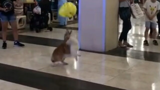 Aku ingin bahagia sendirian, tapi ada begitu banyak orang yang memperhatikanku