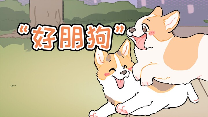 Puppy: Today I’m meeting my good doggy friend again~!