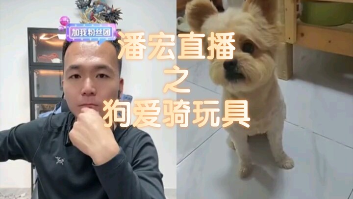 【潘宏直播回放】“潘宏比狗懂狗，又破案了”