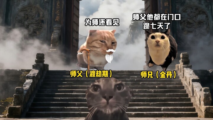 เธอที่ไม่มีพรสวรรค์กลับคุกเข่าอยู่ในสำนักไม่ลุกขึ้นมาเลย