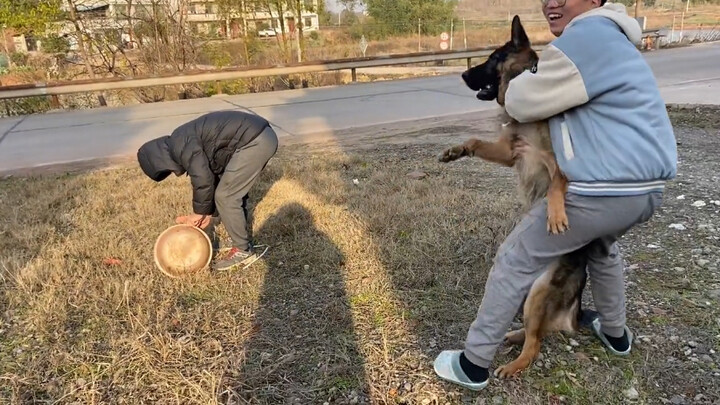 “Begitu Tahun Baru Imlek tiba, anjing-anjing di desa jadi bertambah banyak”