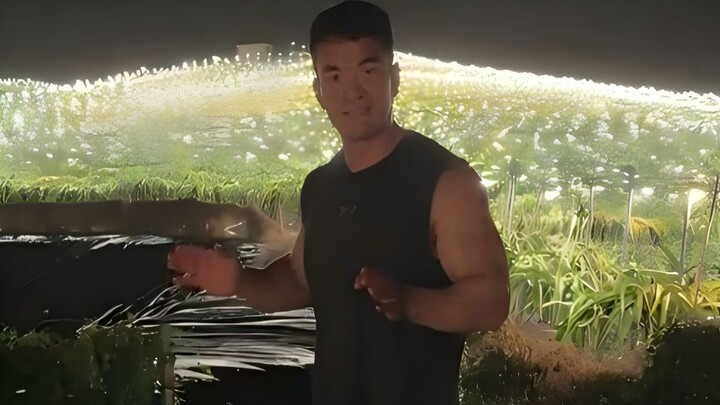 The electricity bill for growing dragon fruit is shocking—can this really be profitable?