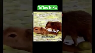 ไปไหนไปกัน