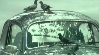 I only see ads from Thailand! You won't know what the ad is until the very end.