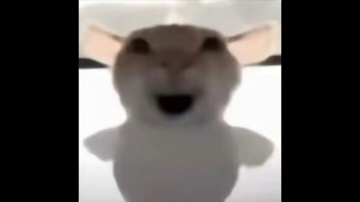 How desperate must one be to pull off dance moves like these?