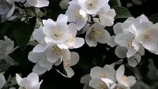 yg nonton daikichi pasti paham