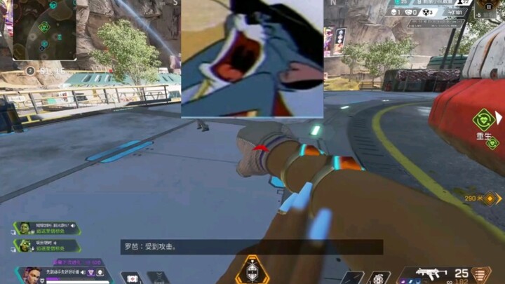 تربية قط توم