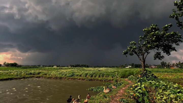 Jamuu Kashmir