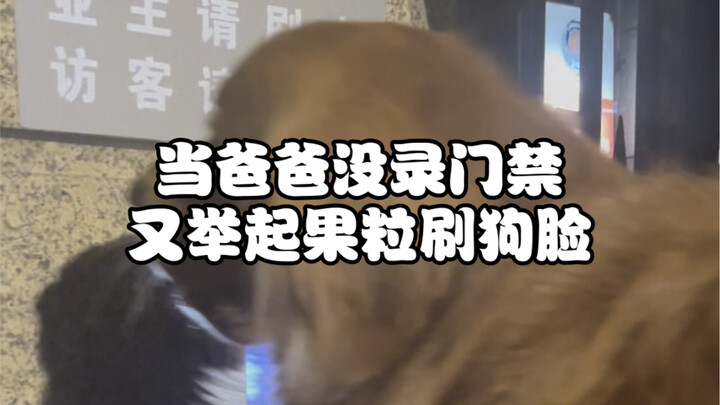 Aunties, have you ever seen someone use a dog’s face to swipe the gate and get into the residential 