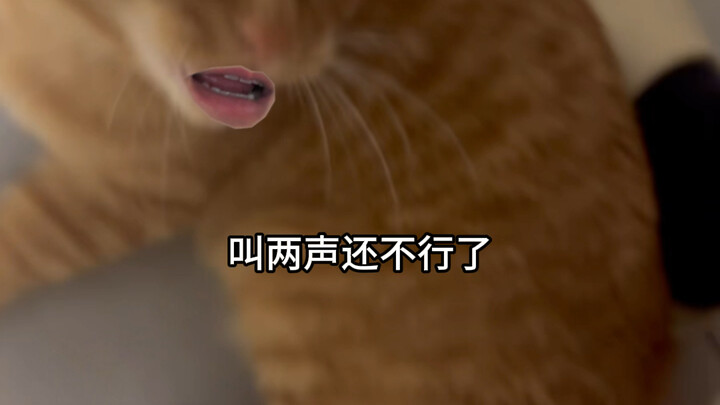 Step on me and call my name twice, and that’s still not enough?